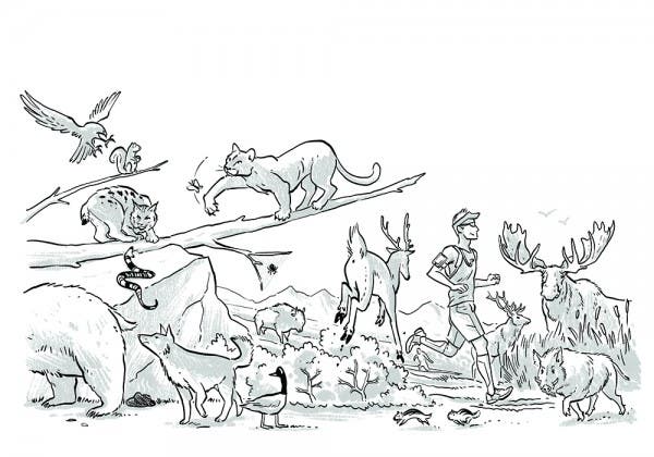 The Do’s and Don’ts of Wildlife Encounters on the Trail