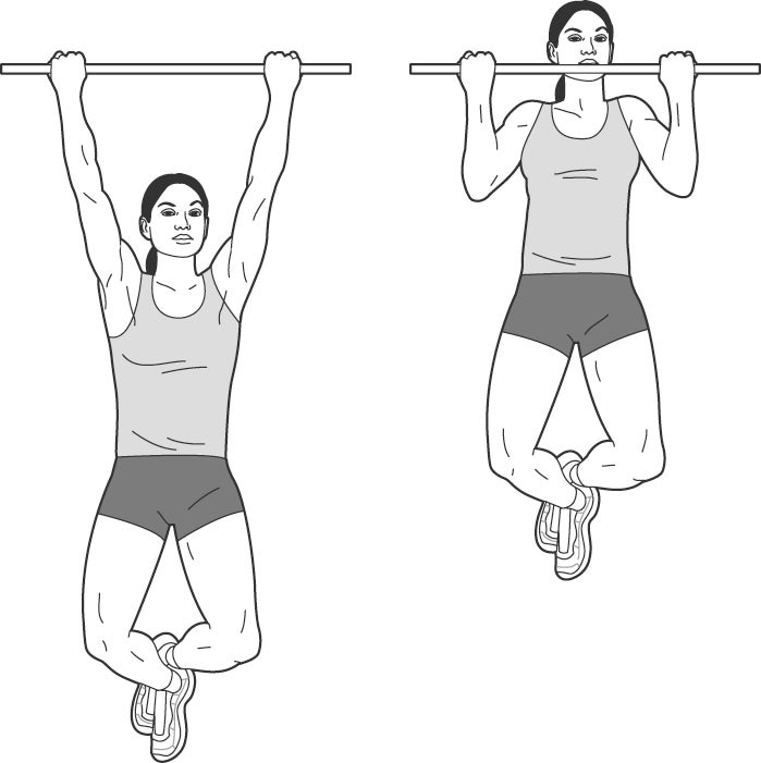 Pull up circuit discount workout