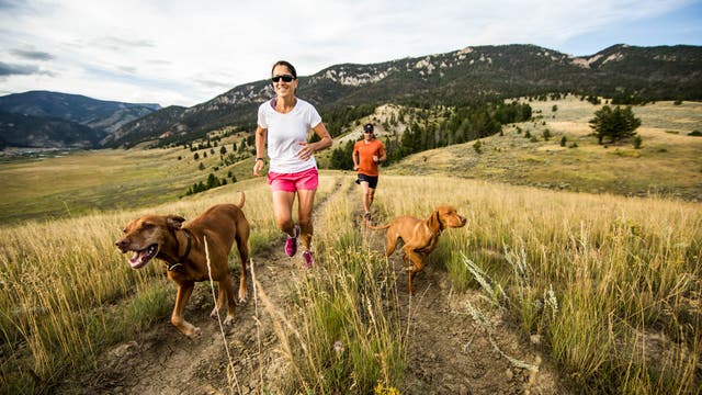 Everything You Need to Know About Running Trails with Your Dog