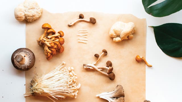 6 Mushroom-Based Products Worth the Hype