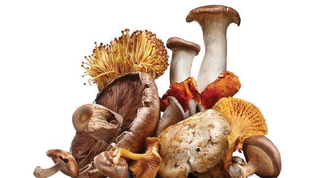 It's the Perfect Time to Add Mushrooms to Your Plate