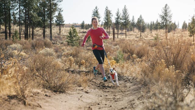 Doggone Good Gear for Trail Running with Your Pup