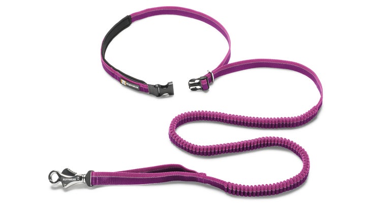Purple Ruffwear leash
