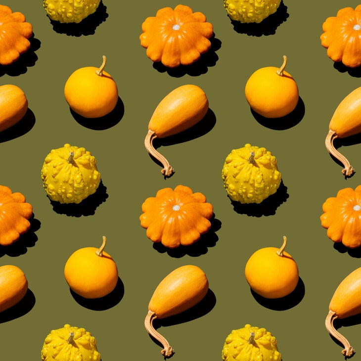 pumpkin-varieties