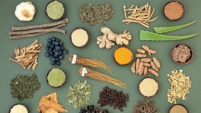 Ask Stacy: What Are Adaptogens and How Can They Help My Training?