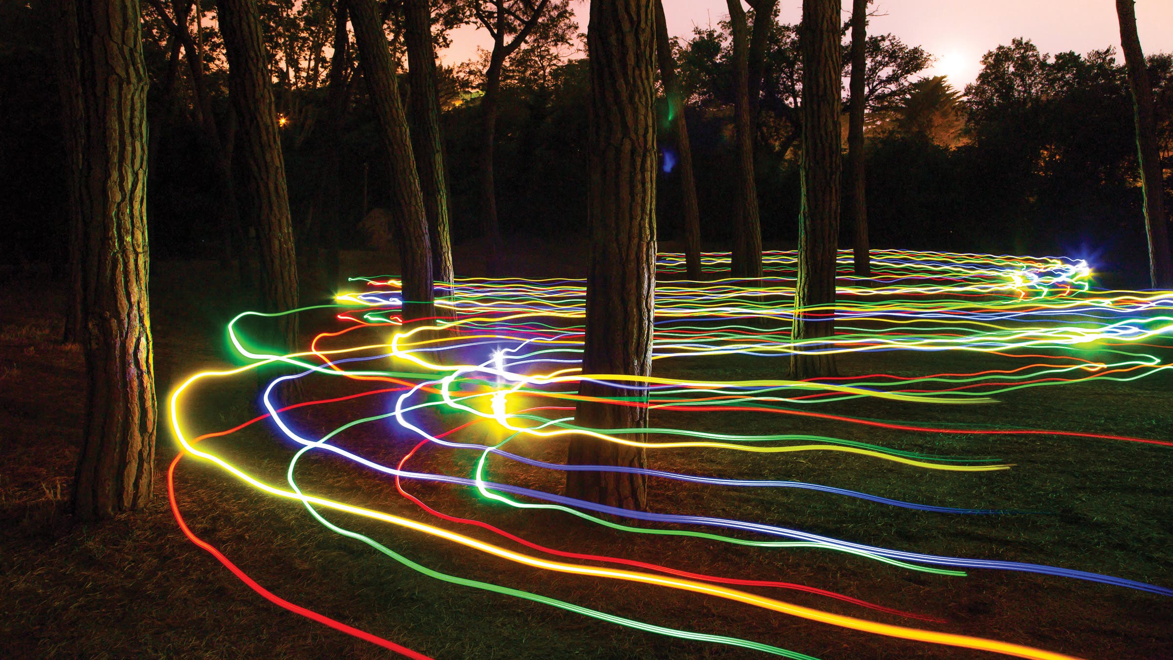 Lightpainting the forest with colorful lights at night.