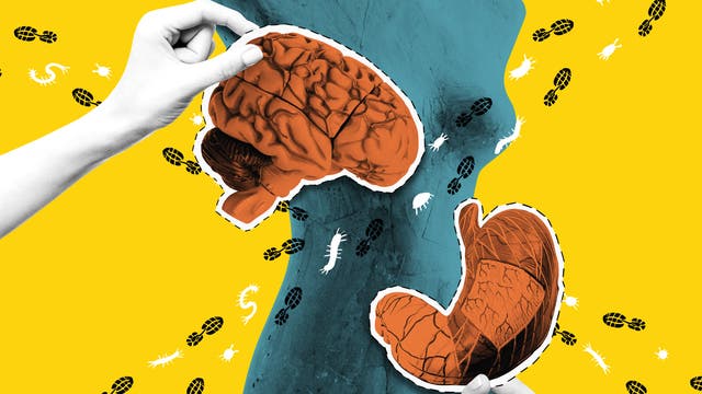 Everything You Need to Know About How the Gut-Brain Connection Works