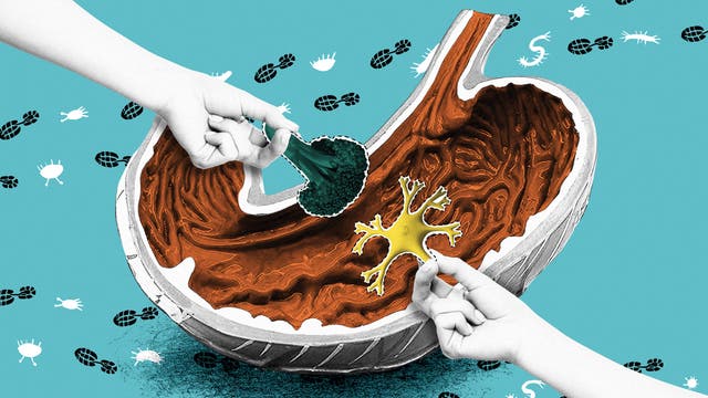 Improve Your Gut Health and Boost Your Mental Health with These 7 Steps