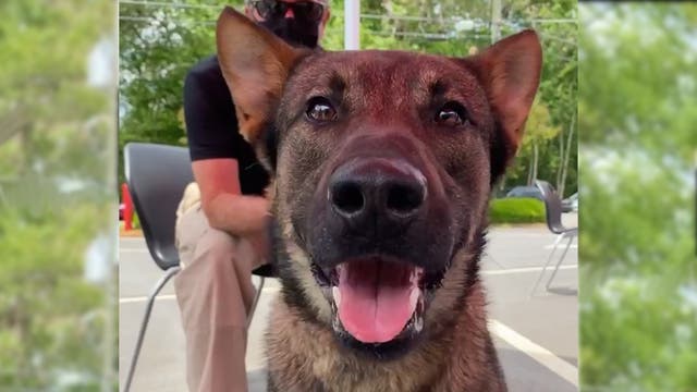 This New Race-Day Safety Protocol is Just the Goodest