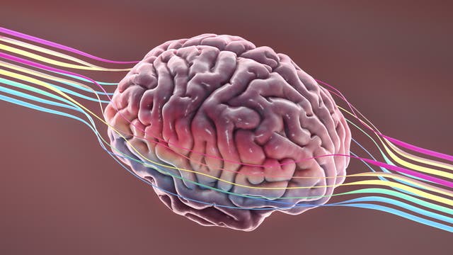 Your Brain on Running: A Deep Dive on the Latest Science and How to Become Smarter, Happier, and More Creative Through Running