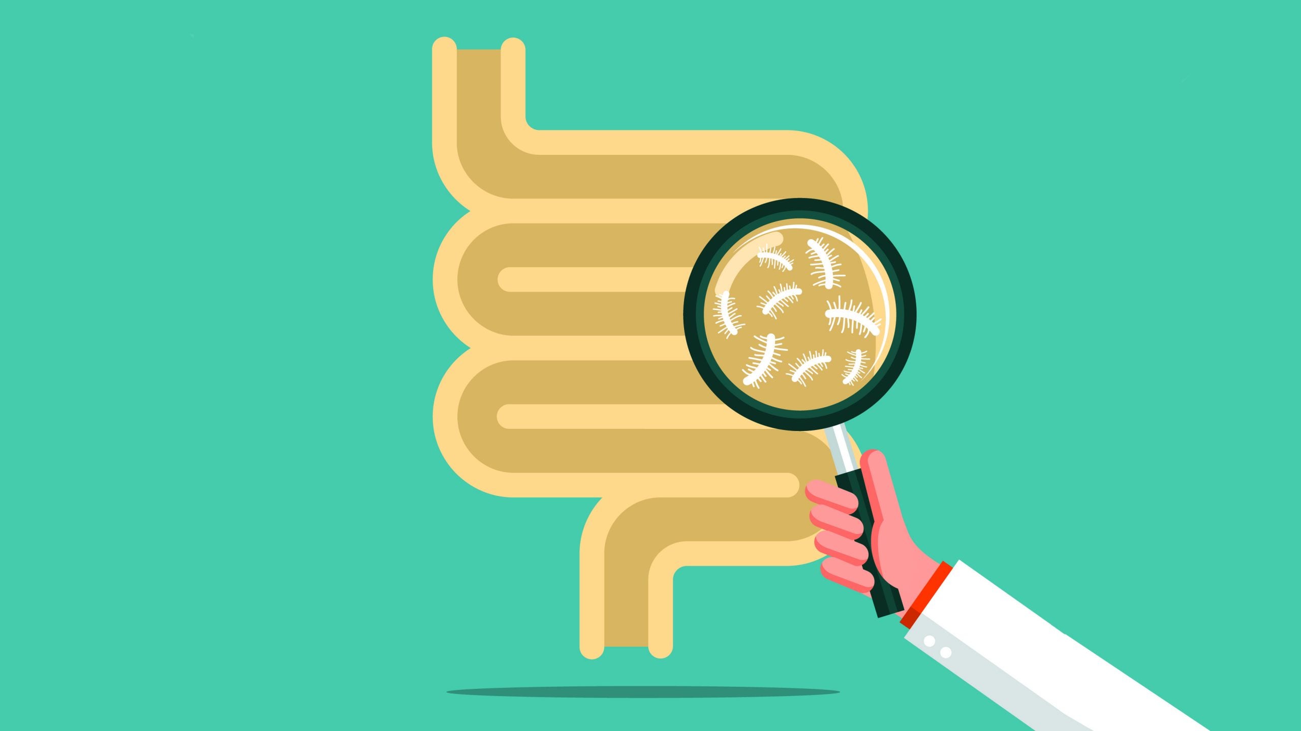 healthy gut bacteria illustration