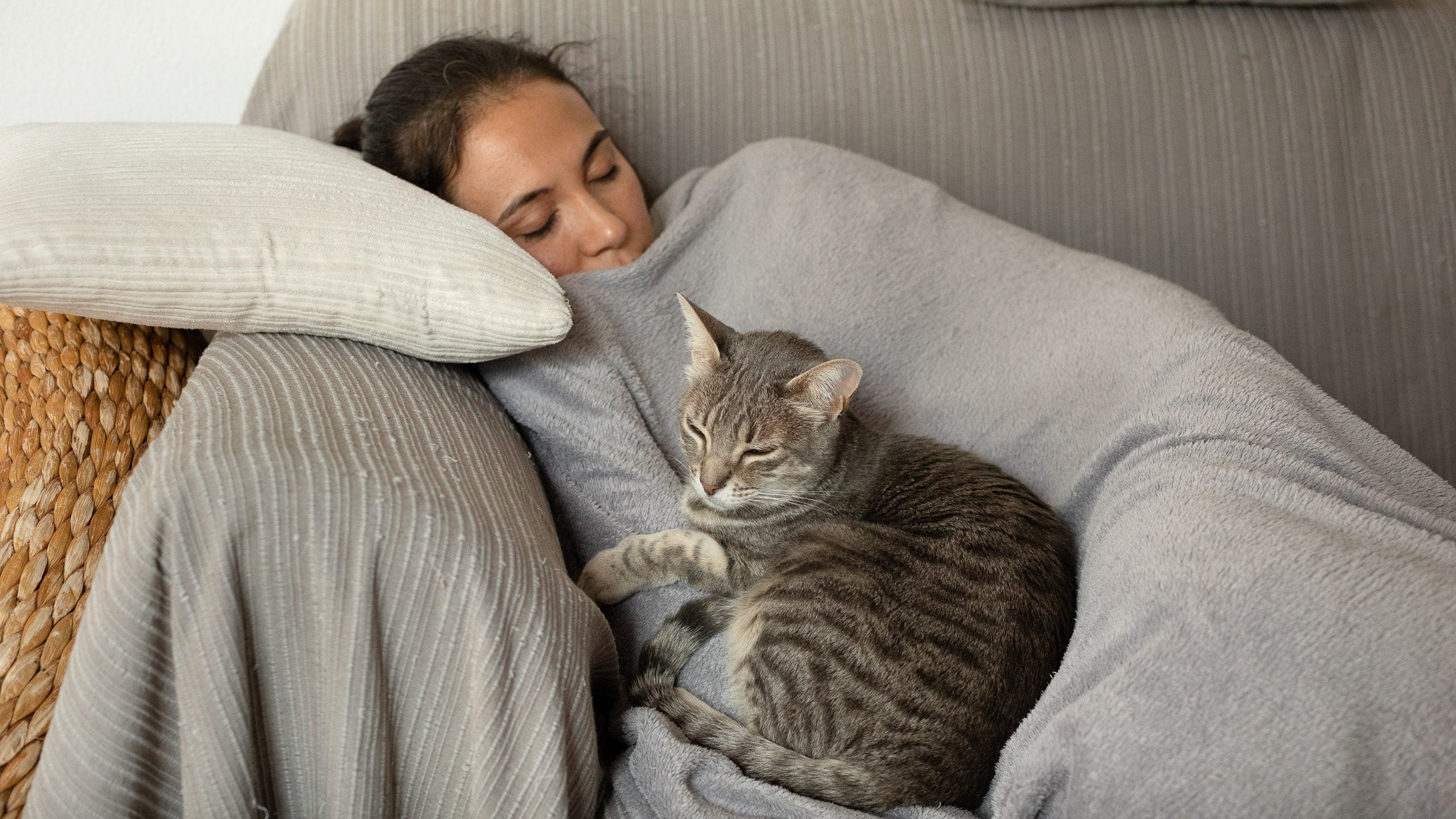 Woman sleeping on a gray sofa with a gray cat
