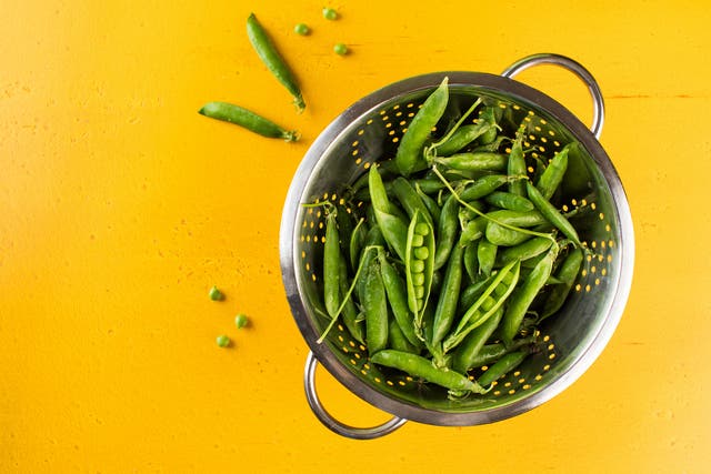 How to Go Vegan: 4 Tips From Runners Who Have Done It