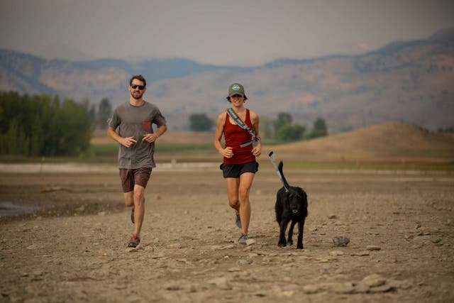This Hands-Free Leash was a Game Changer for Running with My Dogs
