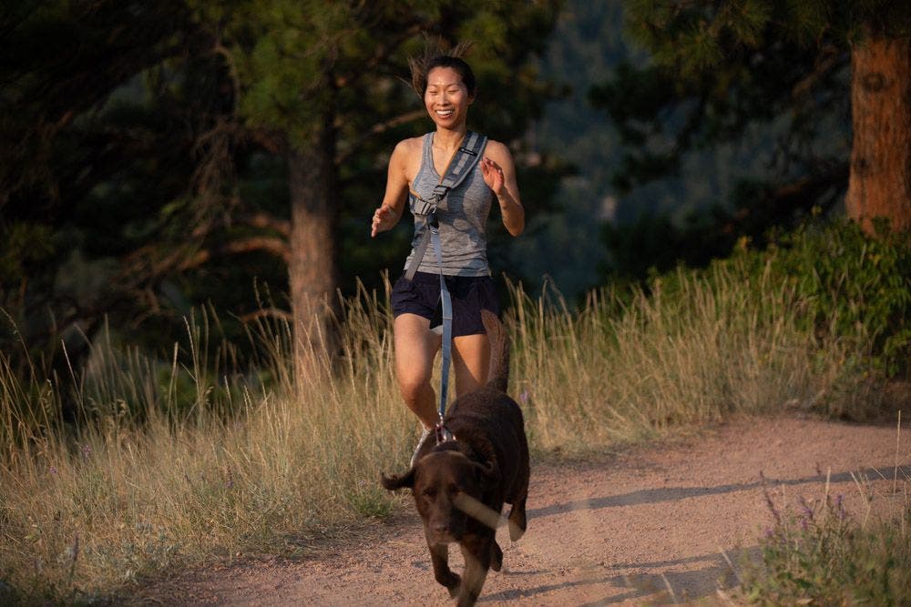 lifehandle-dog-leash-runner