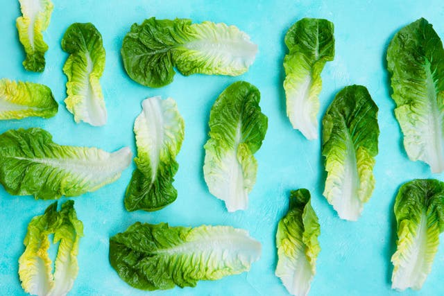 Could Eating Leafy Greens Every Day Keep Heart Disease Away?