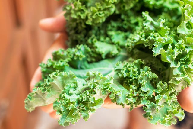 Elyse Kopecky Shares Her Secret for Cutting Kale