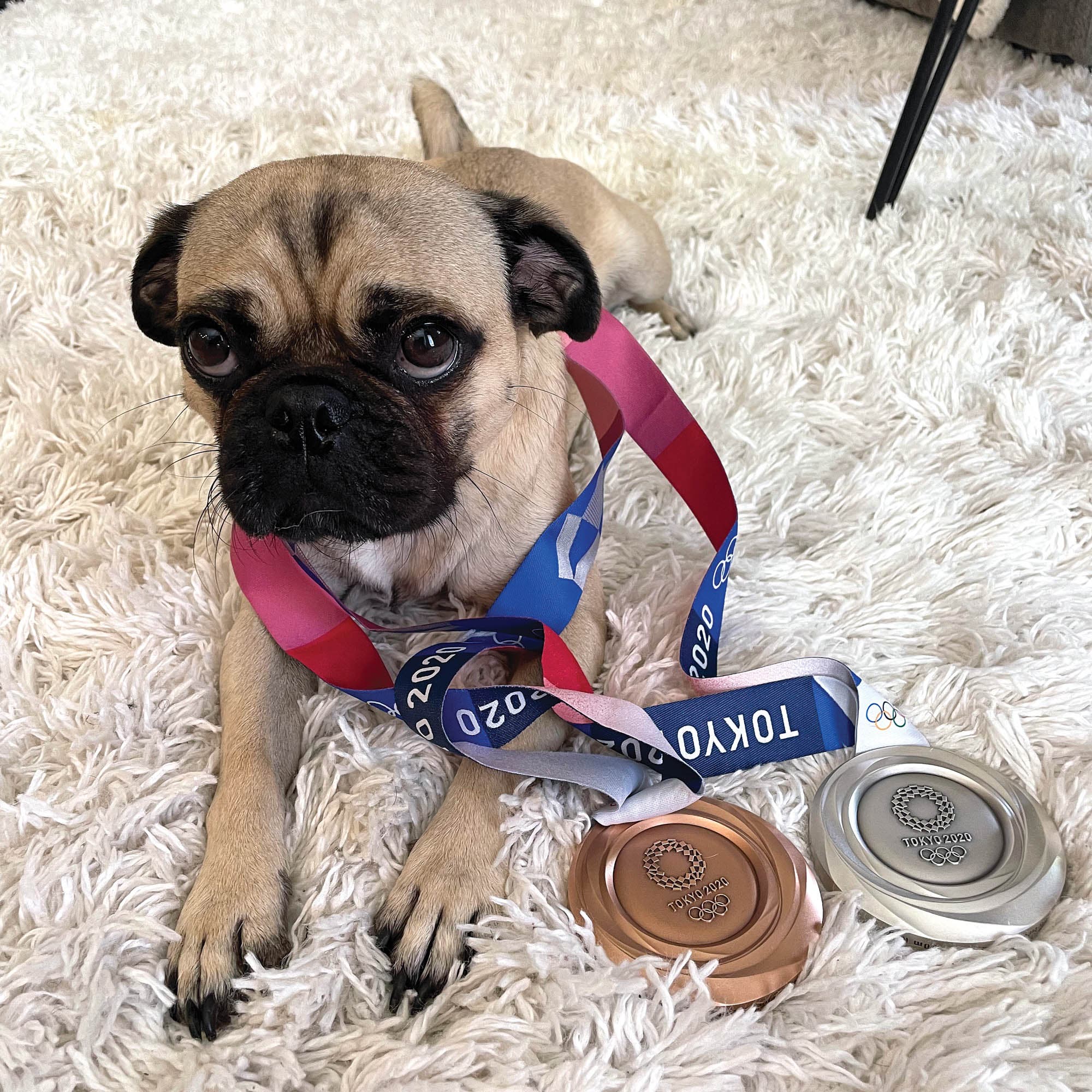 A pug with two Olympic medals around his neck