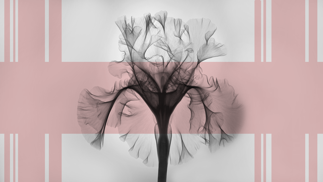 Why Runners Need Pelvic Floor Therapy