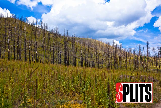 Splits: When "Running Towns" Go Up in Smoke