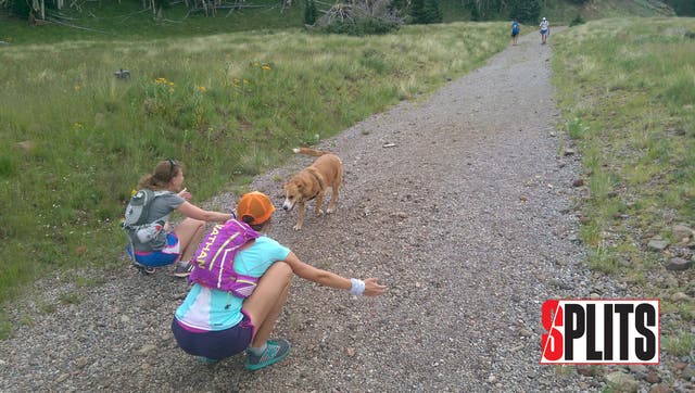 Splits: A Last High Five for the Dog Who Wouldn’t Run