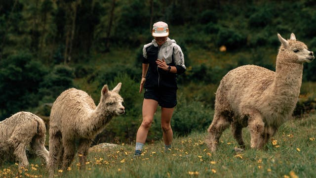 For the "Greatest Of All Trips" Check Out These Running Tours