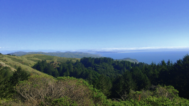 Giveaway: Two Entries to Salomon's WMN Trail Half Marathon