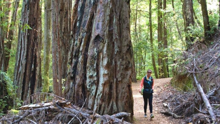 Mendocino California