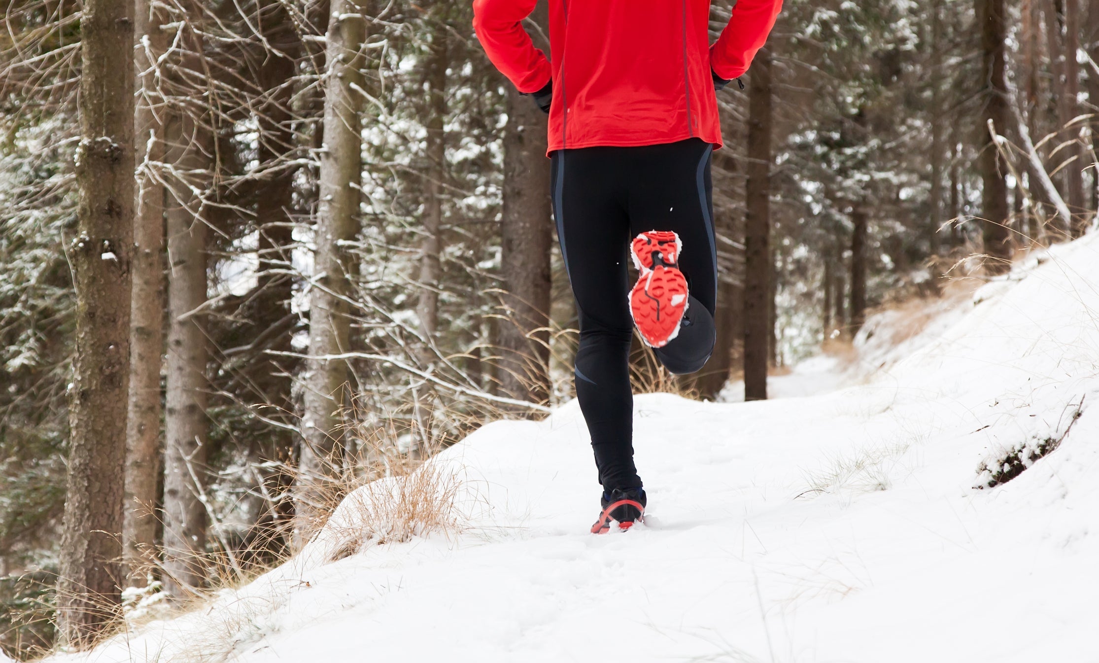 Winter trail running: man takes a run on a snowy mountain path in a pine woods.