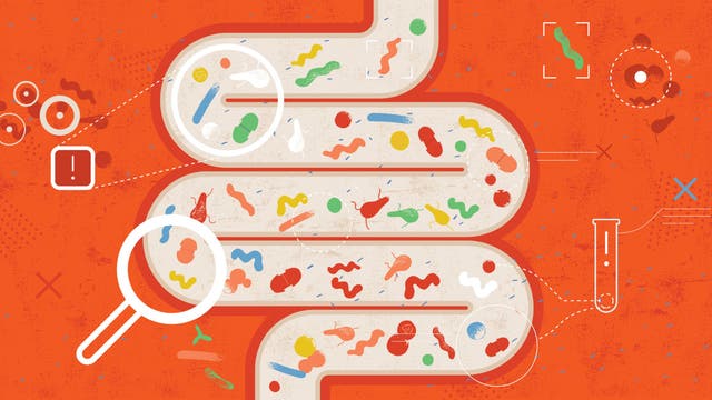 Everything You Ever Wanted To Know About The Microbiome (But Were Afraid To Ask)