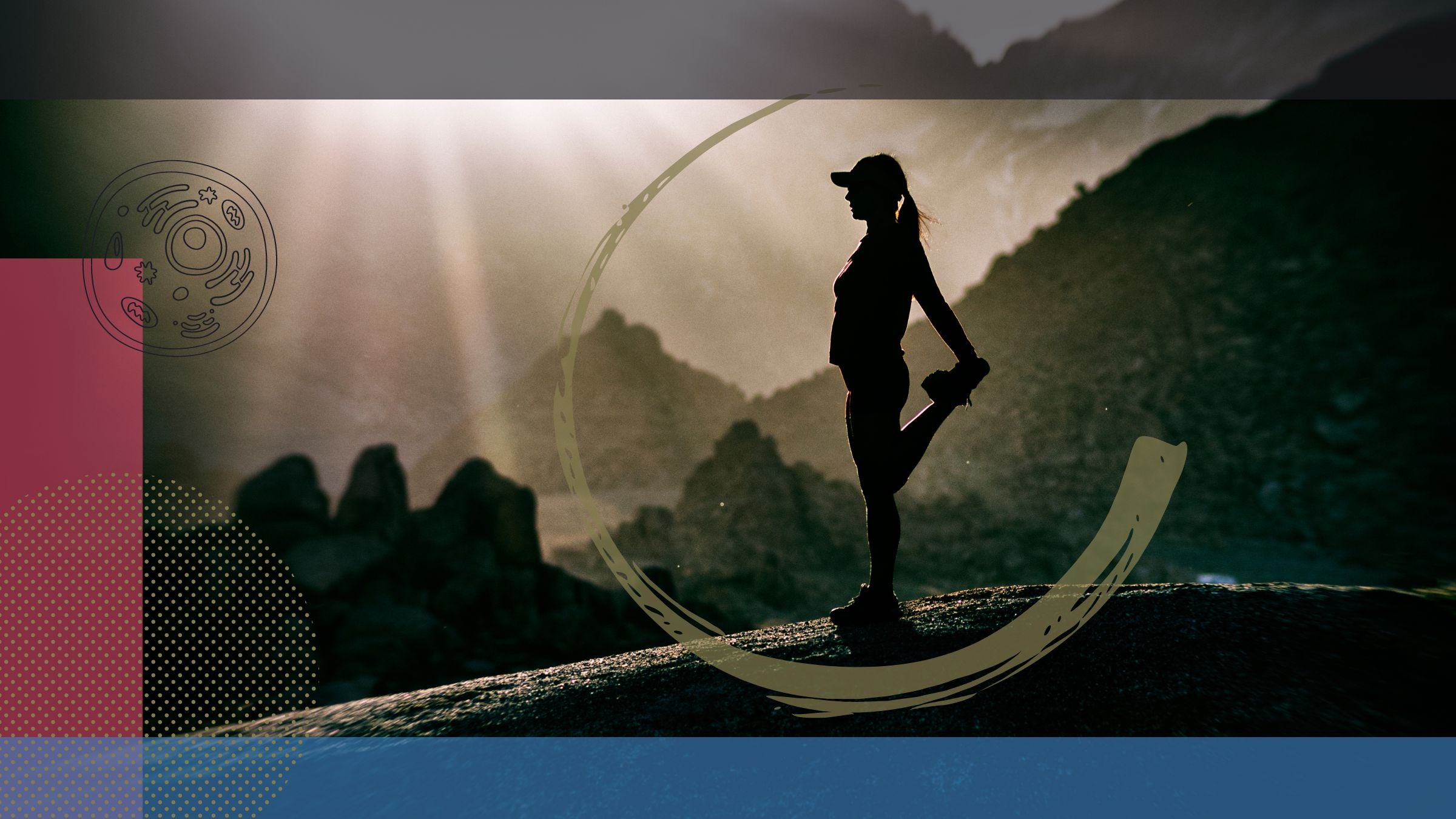 Mitochondria and Runners