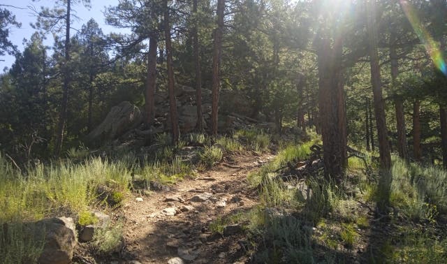 The Unstoppable Claire Bannwarth Just Set a New Self-Supported FKT on the Colorado Trail